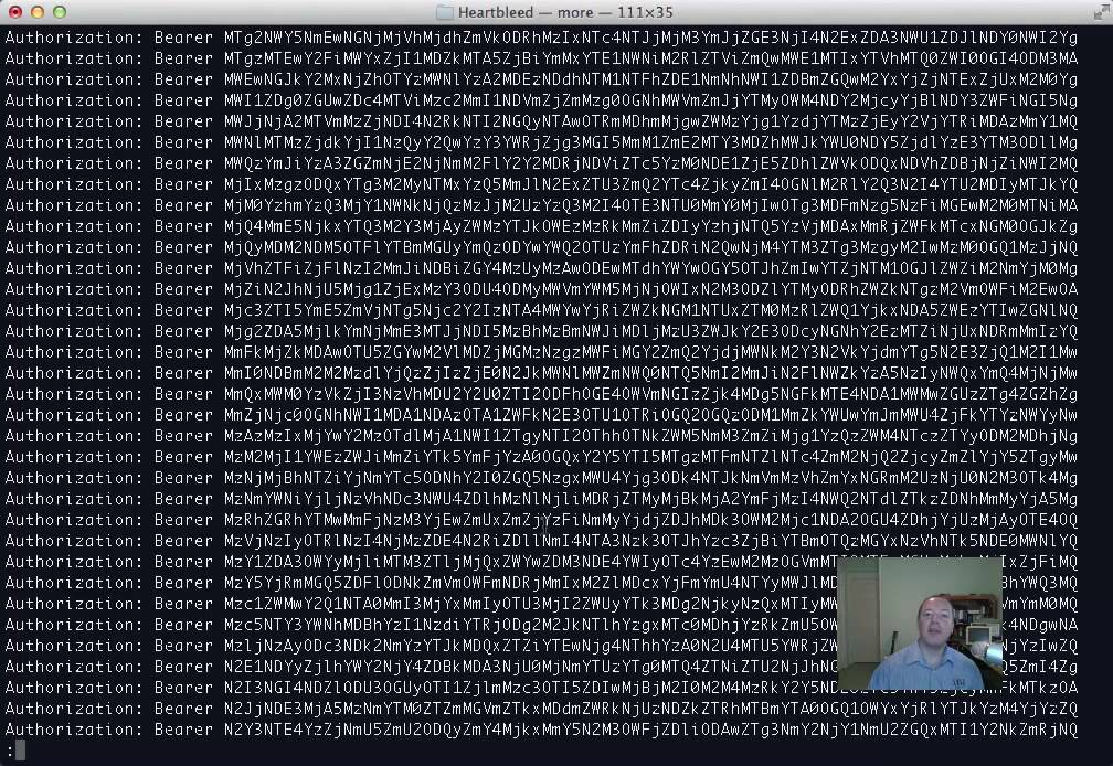 Heartbleed Vulnerability Brings Heartburn