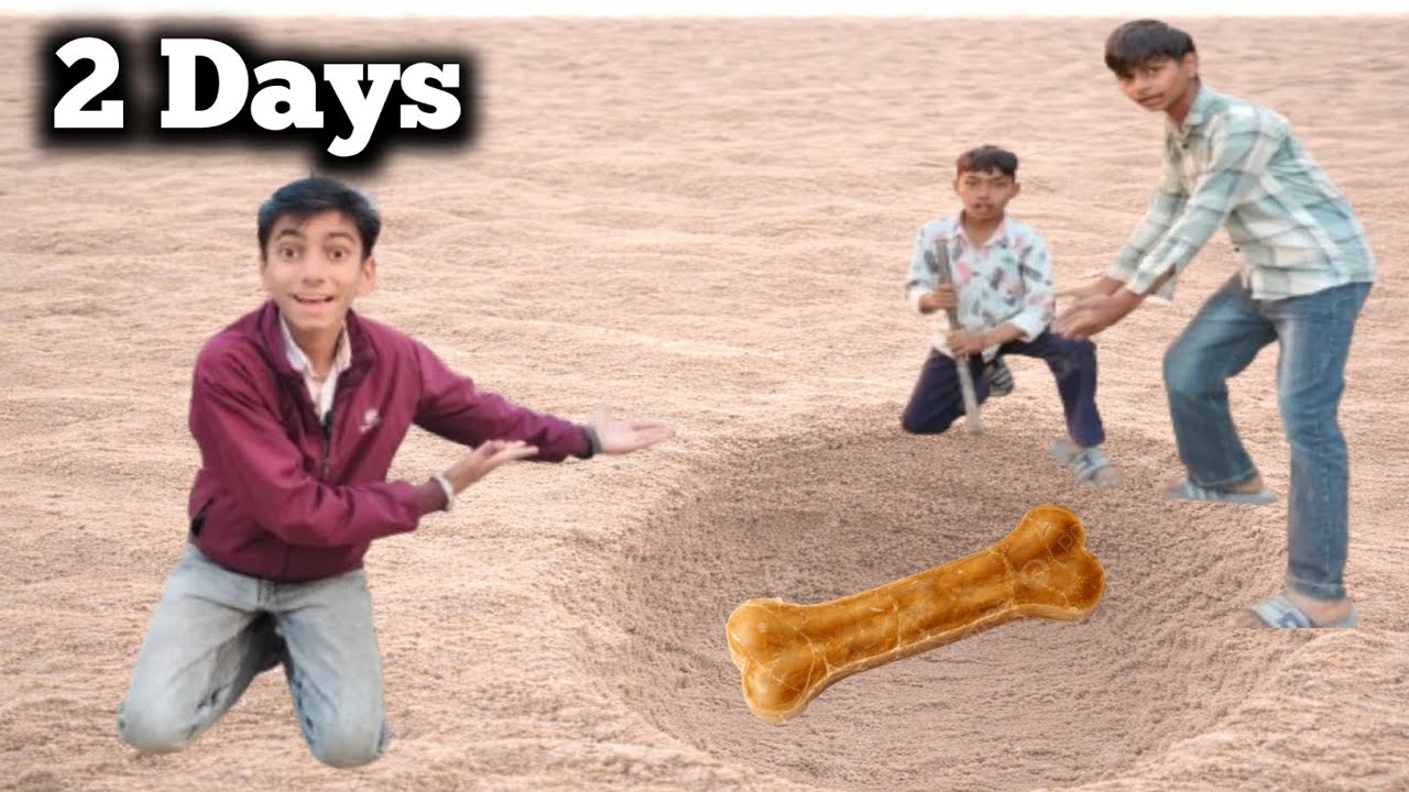 bone taken out of the pit😱 ||गढ़े में से हड्डी को निकाला बार ||#pit#bone#viral#yt#trending