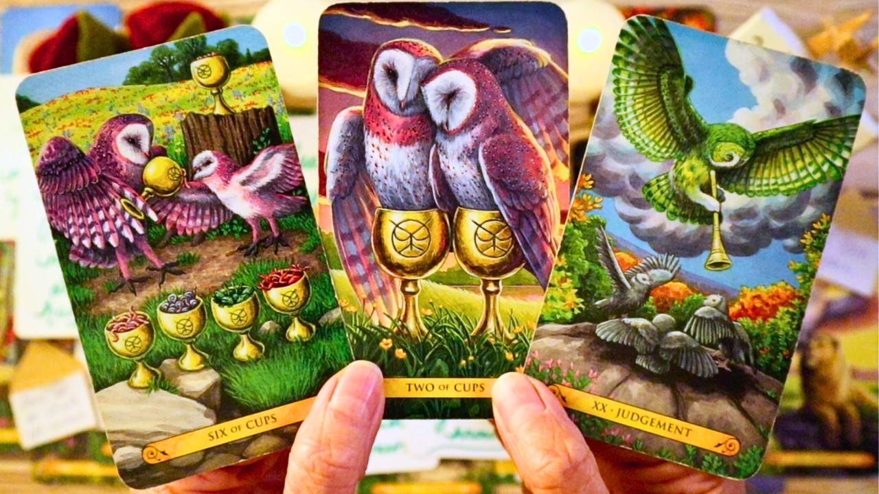 I HOPE YOU SEE THIS BEFORE THEY REACH OUT!! 😮❤️ LOVE TAROT