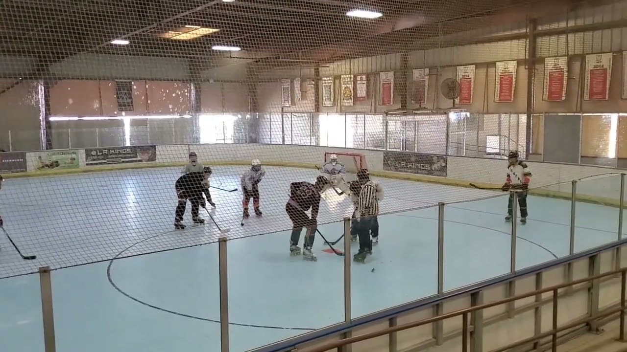 D's Team vs. Dodos