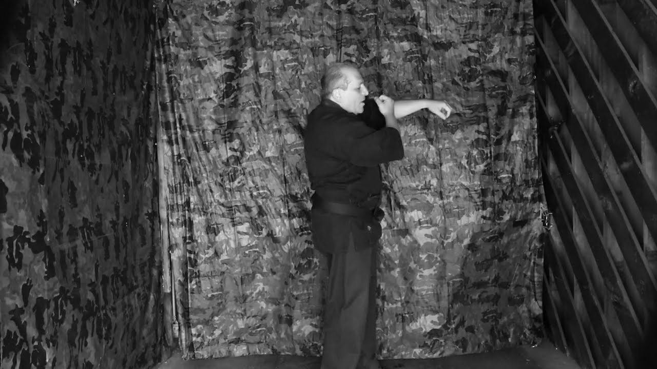 Te-Kempo-Jiujitsu,-(O-te), Iron Fist kata- Rolling, Shielding, Under and Over Hands.