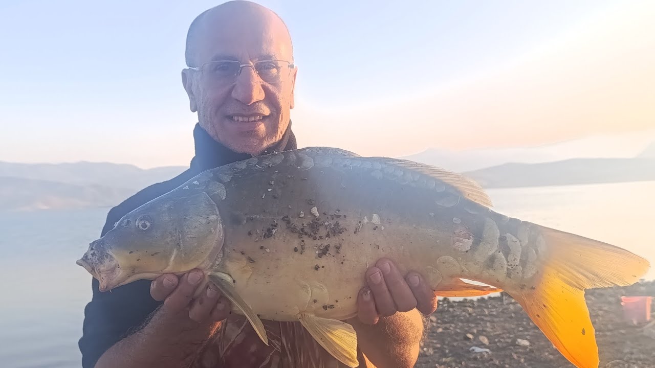 10 kiloluk büyük sazan avı , sazan yemleme tekniklerimiz... 
