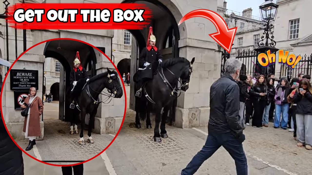Tourist Enters Restricted White Box — Guard Reacts Instantly 