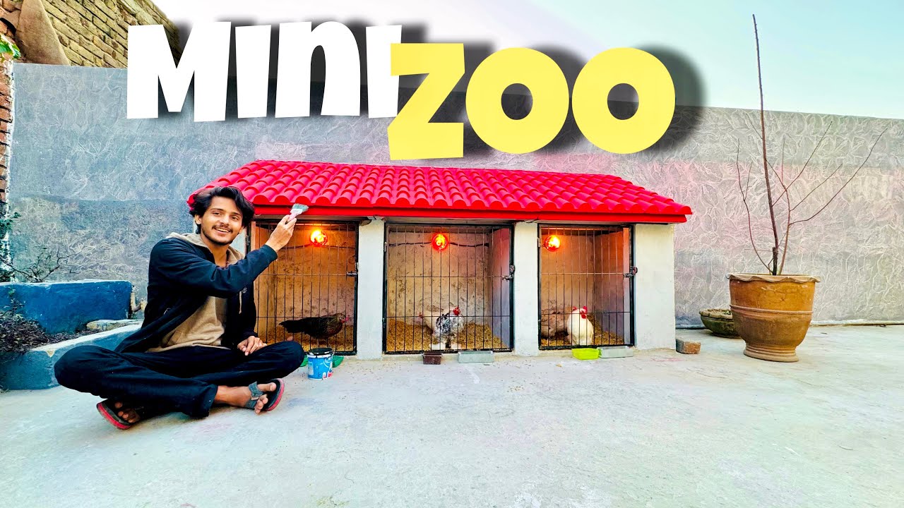 Dostooo ! Finally MiniZoo Ki Sab Chezy Set Kardiii😍Sabar Ka Phal Milgya Aj😋