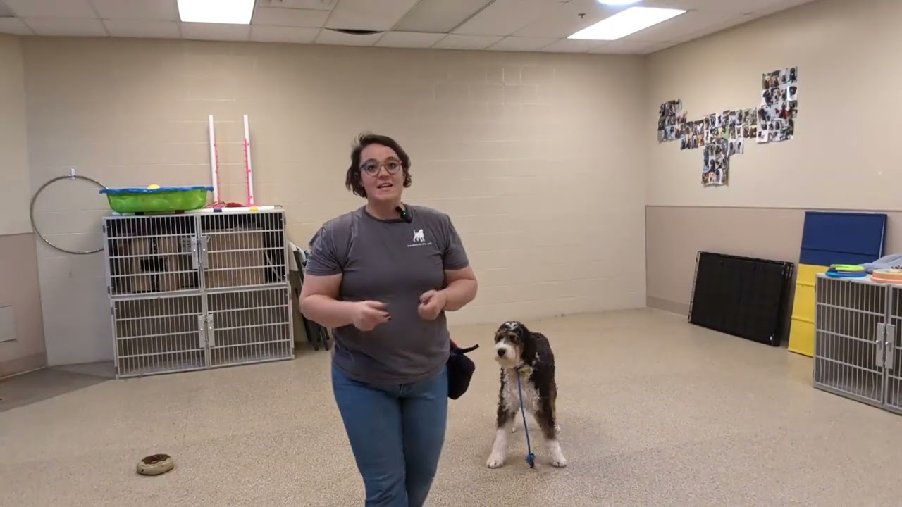 Tazzie Training 8.2.24