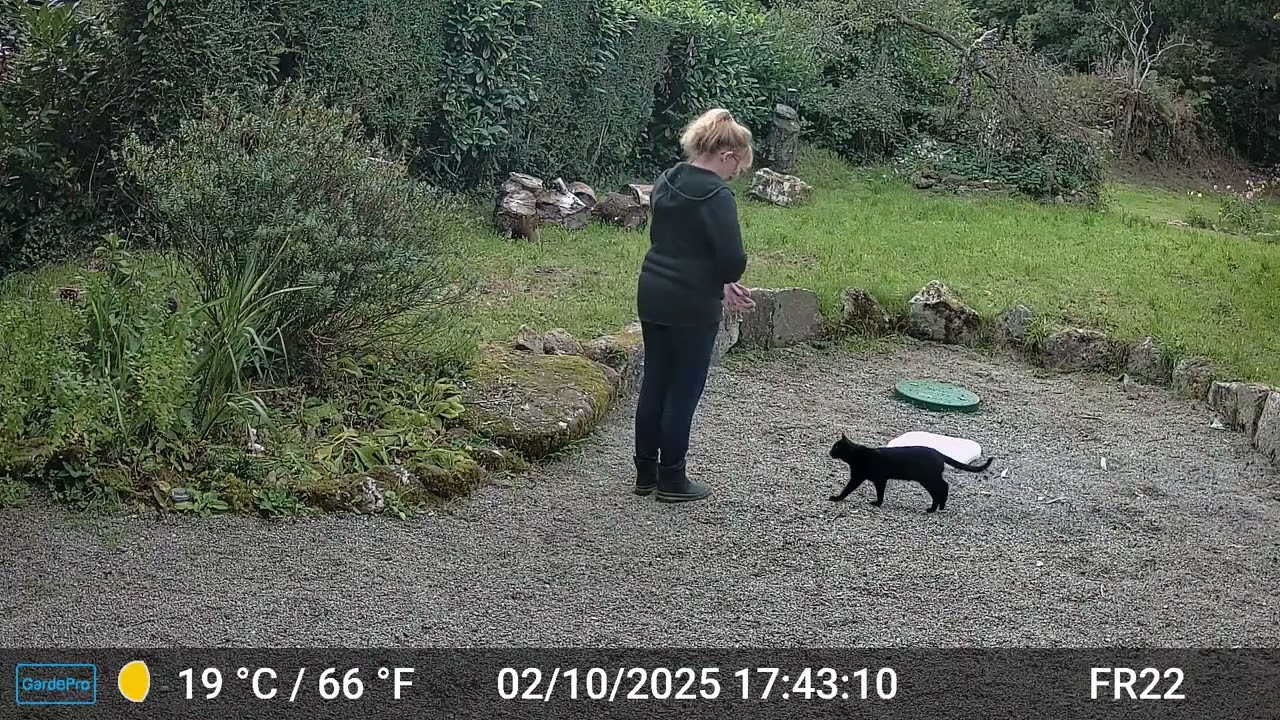 Videos Only Edit GardePro A3 Trail Camera 9 of 12 FR22 Part 6 Côtes d'Armor, Brittany, France