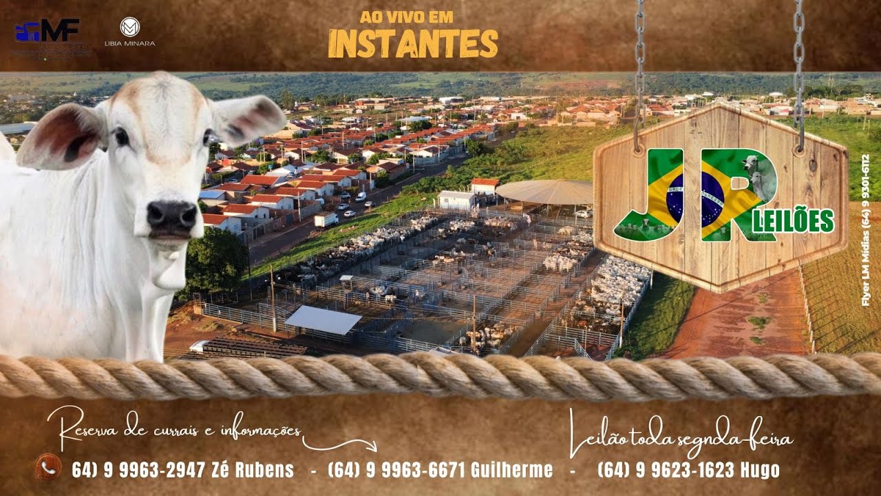 265° LEILÃO AO VIVO DA JR LEILÕES - 09/03/2026