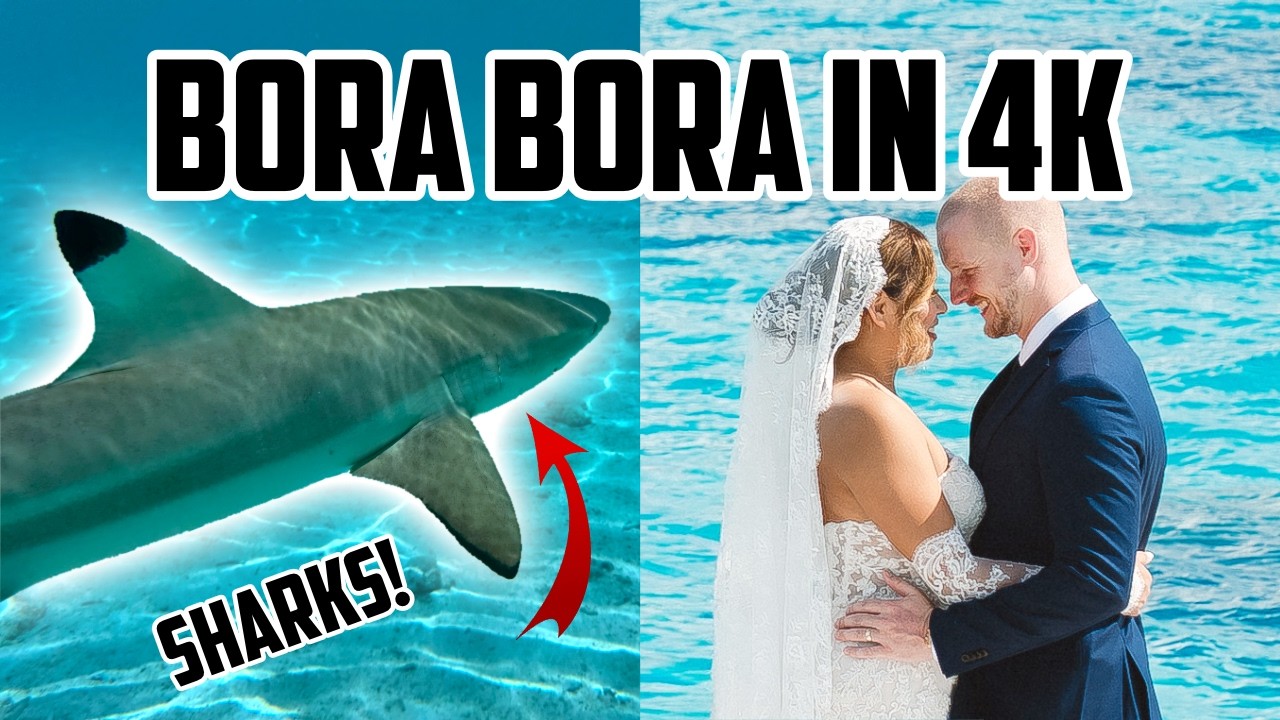 Bora Bora Honeymoon in 4K - Sharks, Reef Life & Overwater Paradise