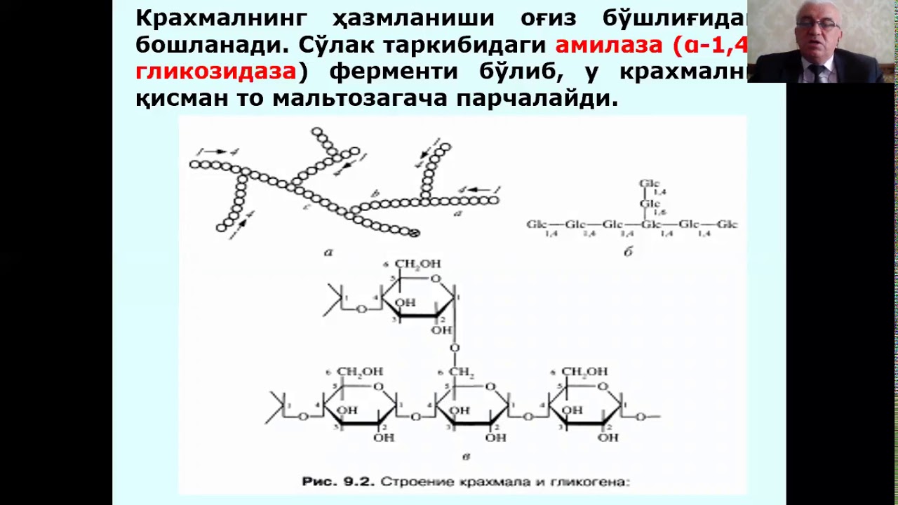 Углеводлар метаболизми ҳазм бўлиши ва сўрилиши