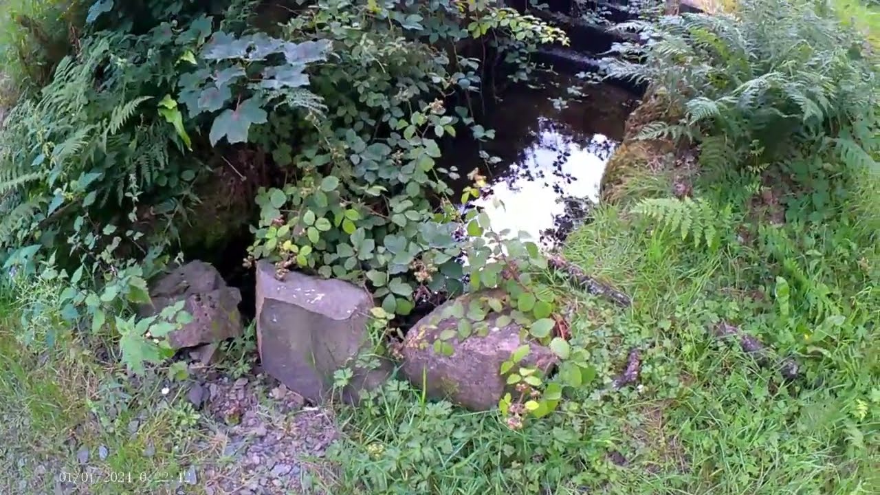 Moffat Manor Loch Walk