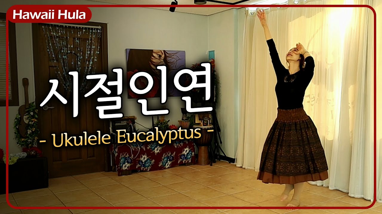 # 시절인연 # 이찬원 # 훌라 / 이찬원 시절인연, 하와이 훌라로 새롭게 즐겨요