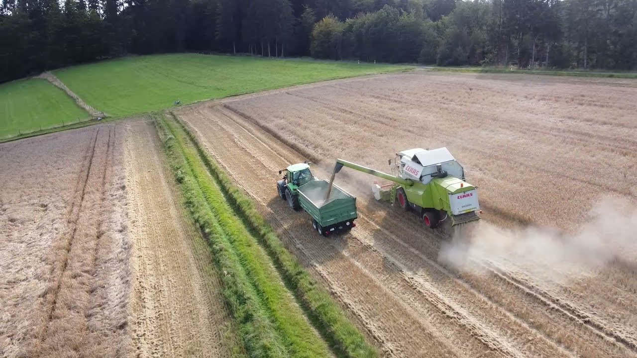 Ernte mit Claas Medion 310 Deutz Fahr 6165TTV | Gerstenernte 2021