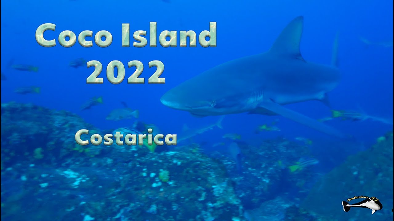COCO ISLAND 2022 (Costarica) Diving Underwater