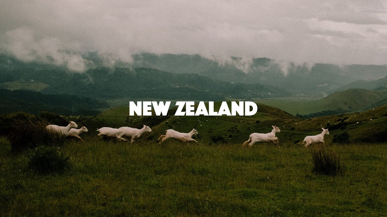 New Zealand Photo Diary (Fuji X100VI)