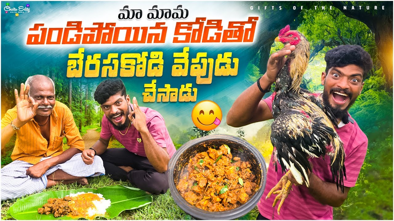 మా మామ పండిన బేరశకోడితో వేపుడు చేసాడు🐓 || పప్పులుసు లో ఈ వేపుడు తింటే కతక్కన వుంది🤤
