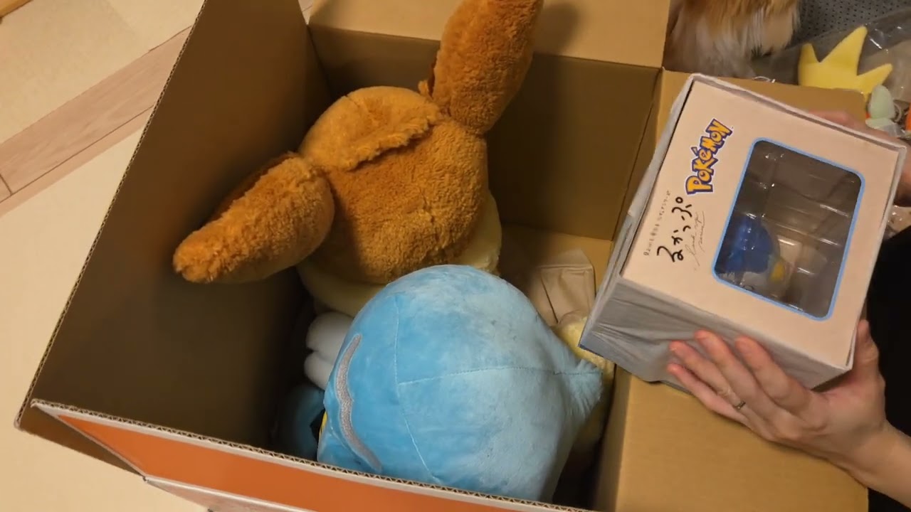 初めてのピカピカBOX2026