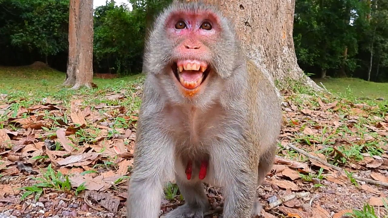 NAUGHTY JANE! Why so nasty JANE?