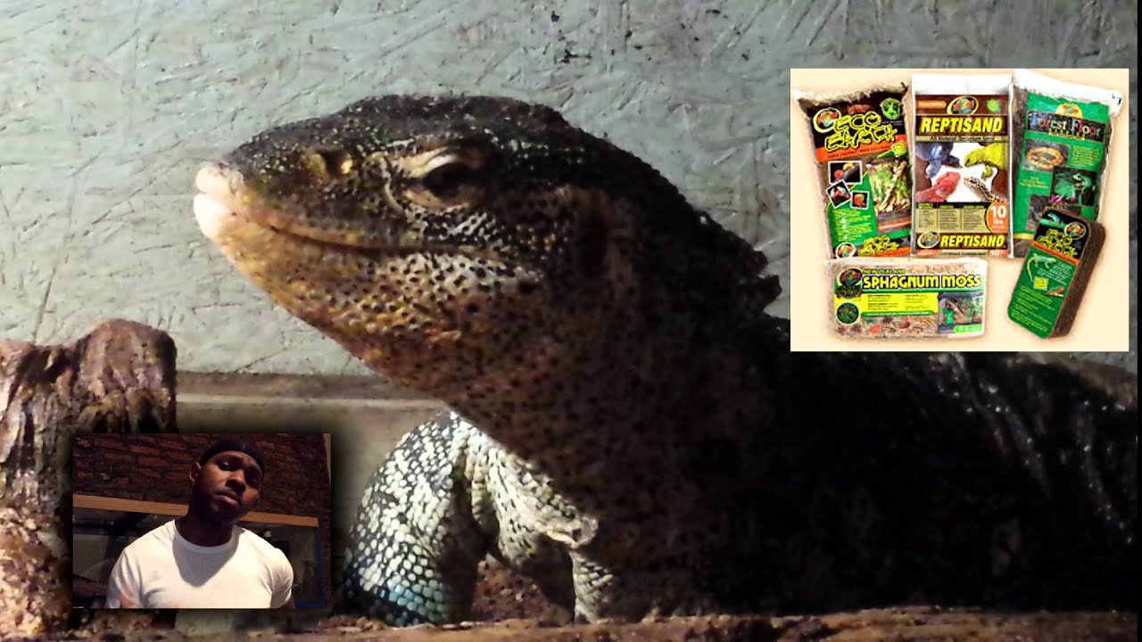 Reptile Substrate Basics