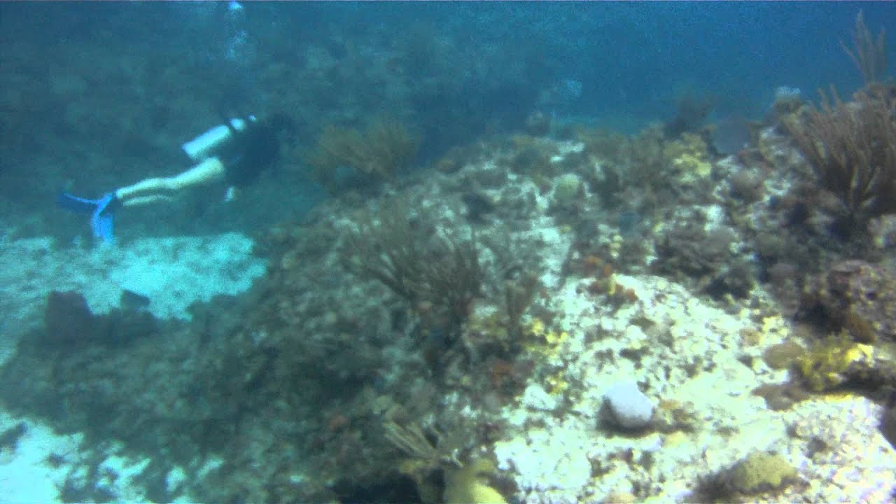 Diving St. John USVI Little St. James