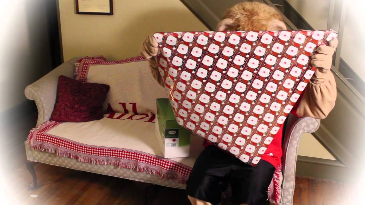 Albright College Holiday Greeting