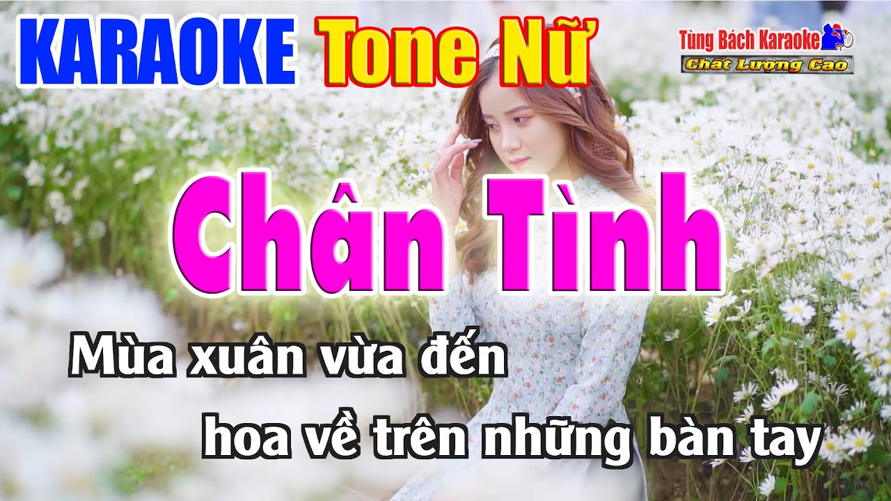 Chân Tình | Karaoke Tone Nữ | Nhạc Sống Tùng Bách