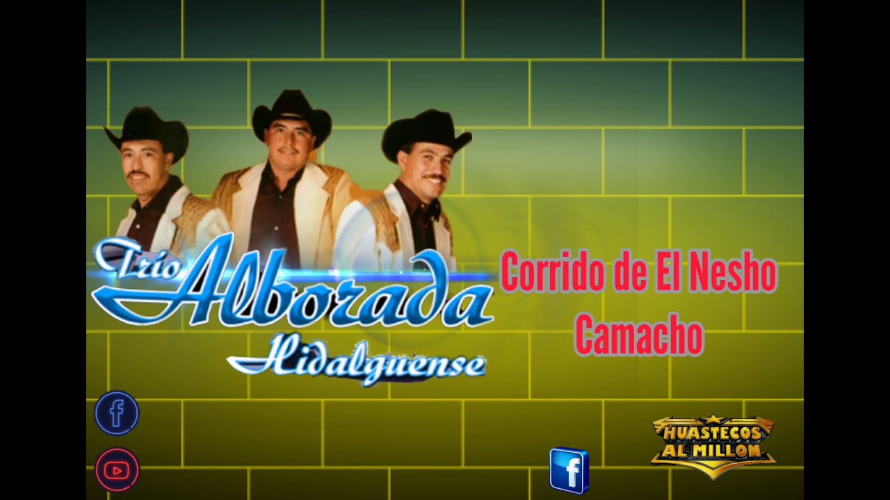 Trio Alborada hidalguense  // Corrido de Nesho Camacho