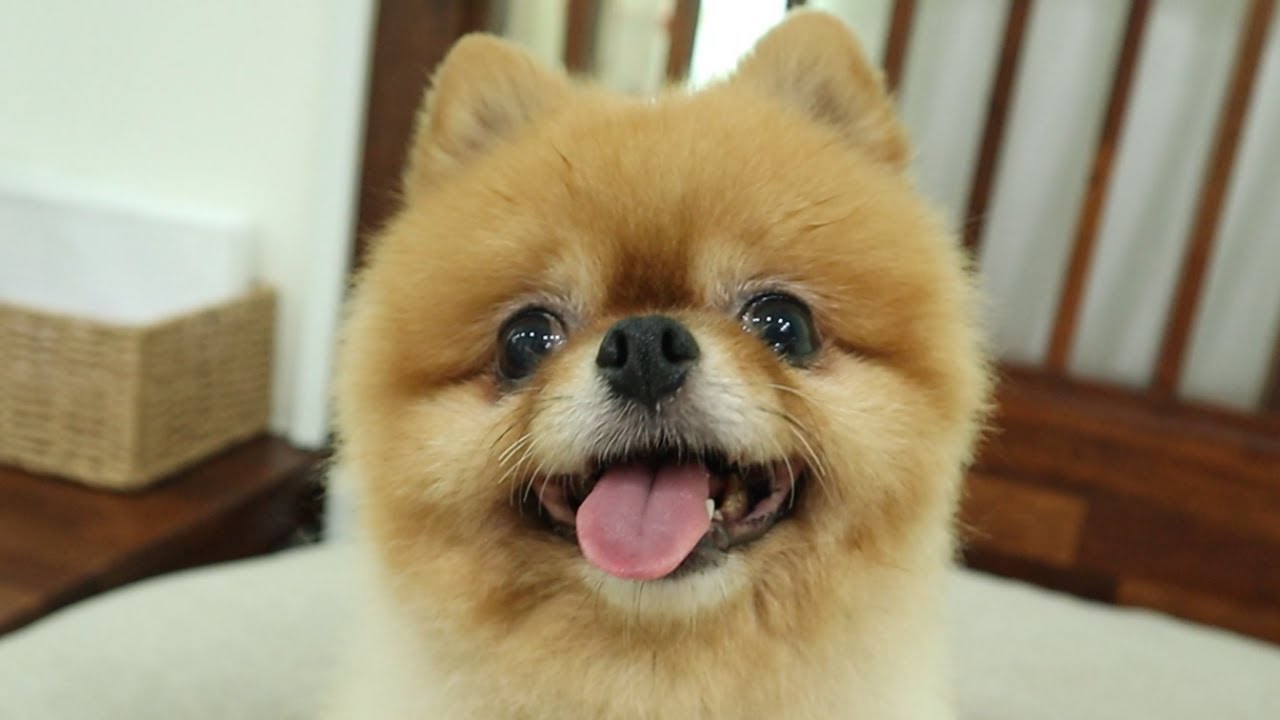 송이와 여행 다녀왔어요💛