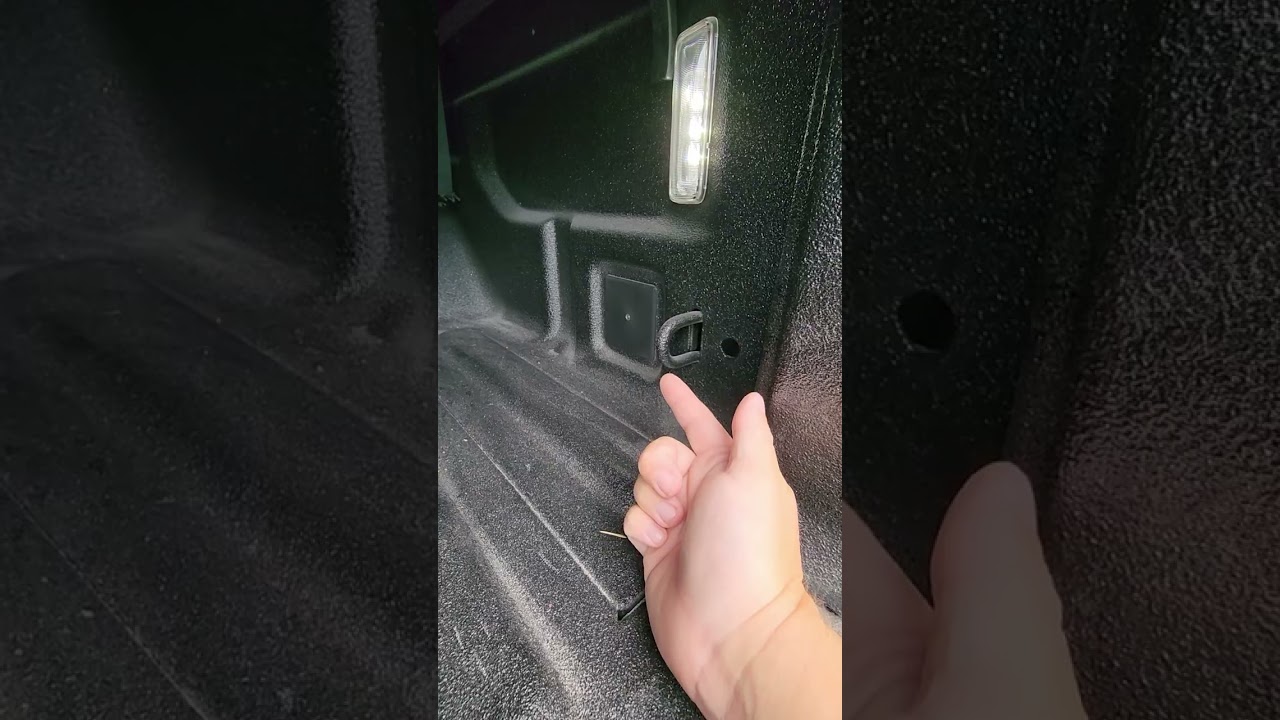 Why Every Jeep Owner Needs A Tazer!