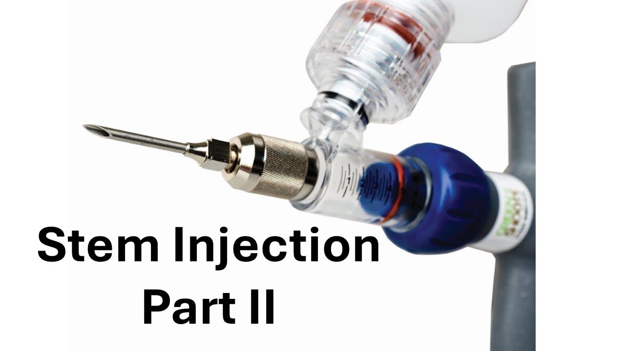 Stem Injection of Invasive Knotweed - Part II on Green Shoots Injection System