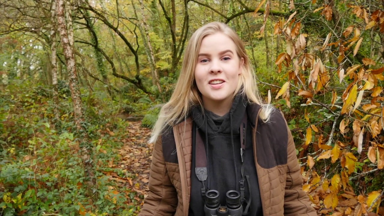 Woodland Trust #EveryTreeCounts: NatureWatch Shorts