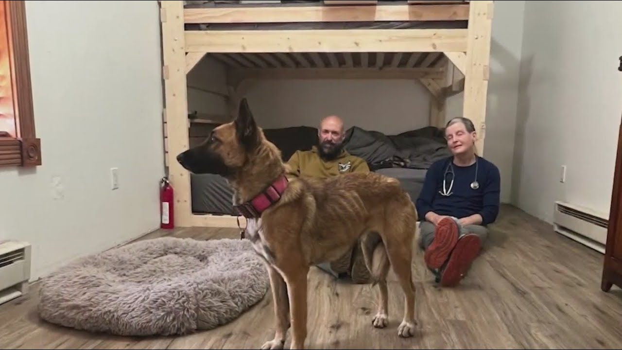 Good Samaritan rescues lost dog from San Juan Mountains