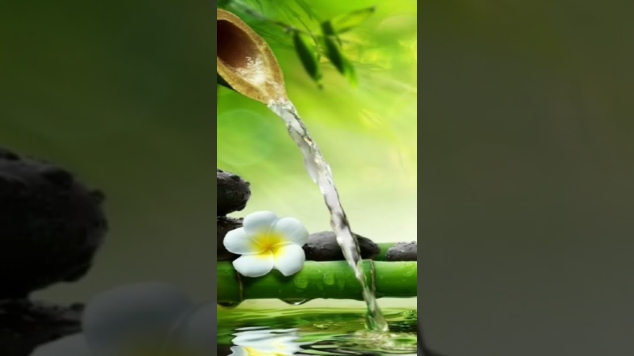 Deep relaxing chinese bamboo flute slow music for deep sleep#relaxingmusic #deeprelaxationsleepmusic