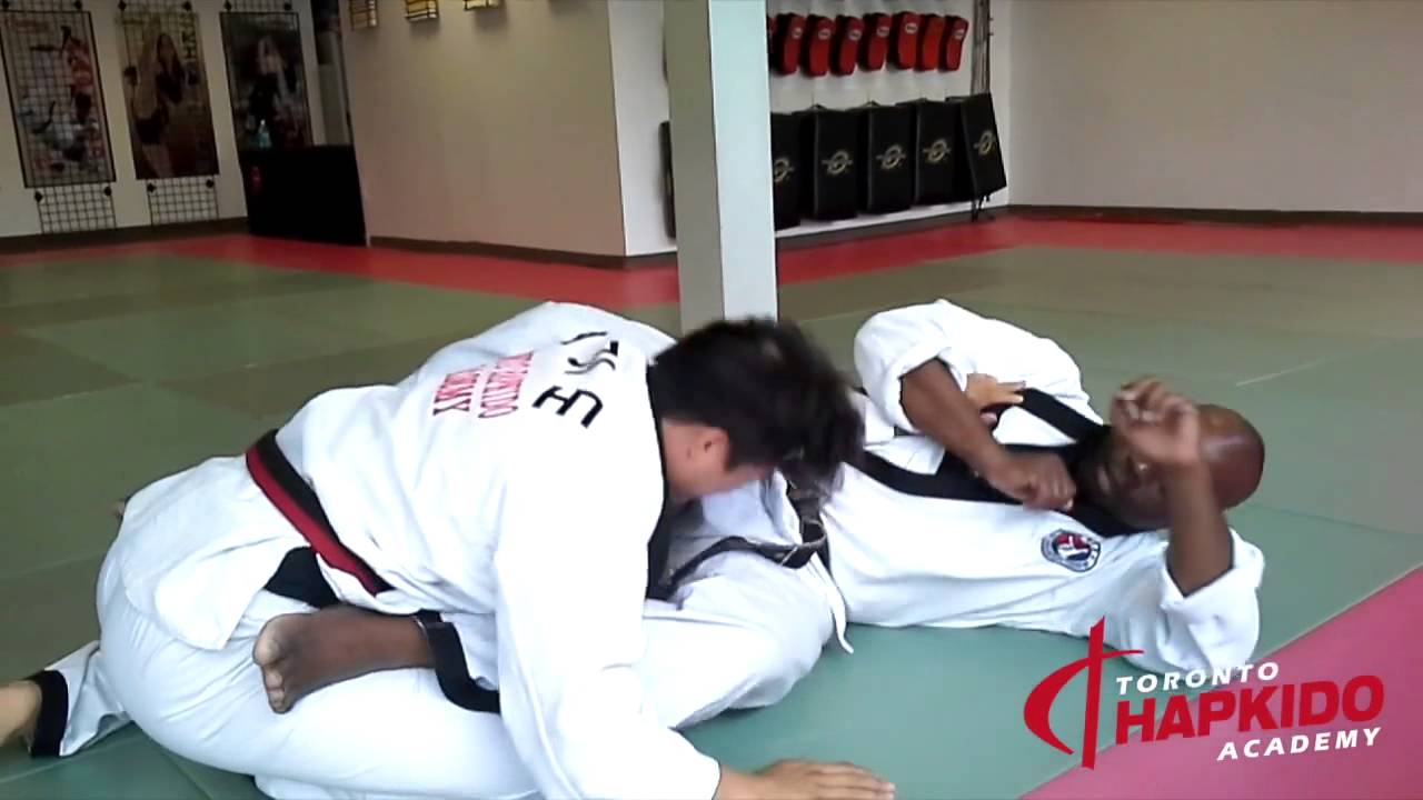 17 hapkido Moves in 90 Seconds | Toronto Martial Arts School