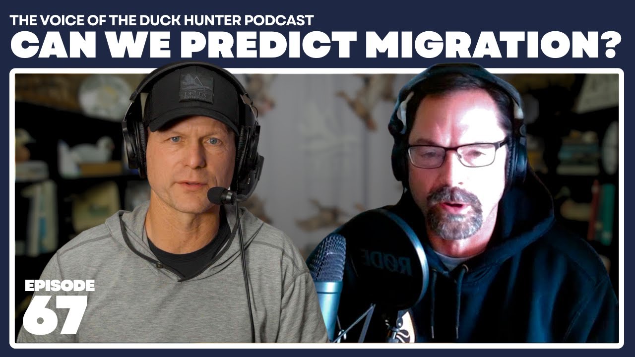 Ep. 67 | Where The Ducks Go Now: Forecasting the Migration in a Changing World