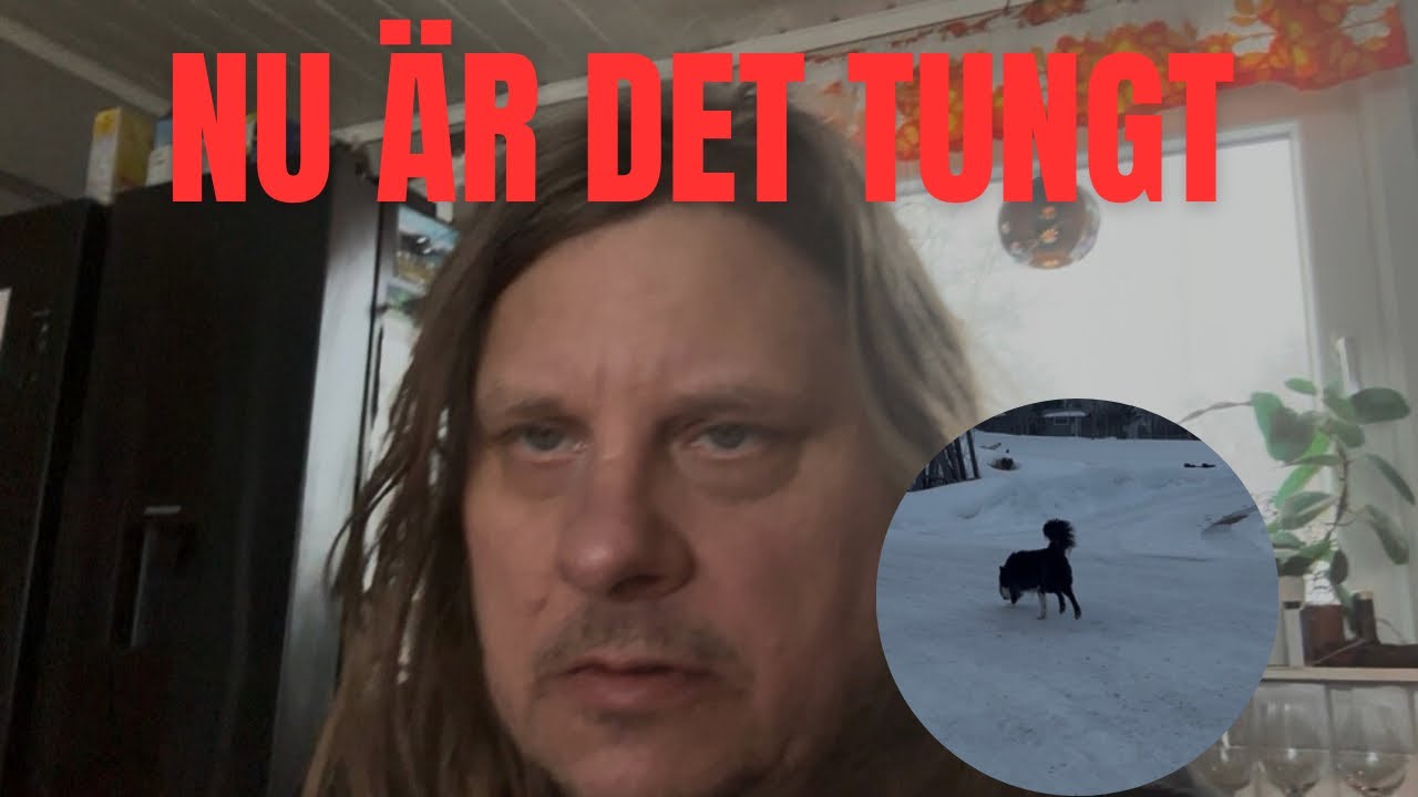 Saknar sussi älsklingen blir en tung dag i dag  igen 