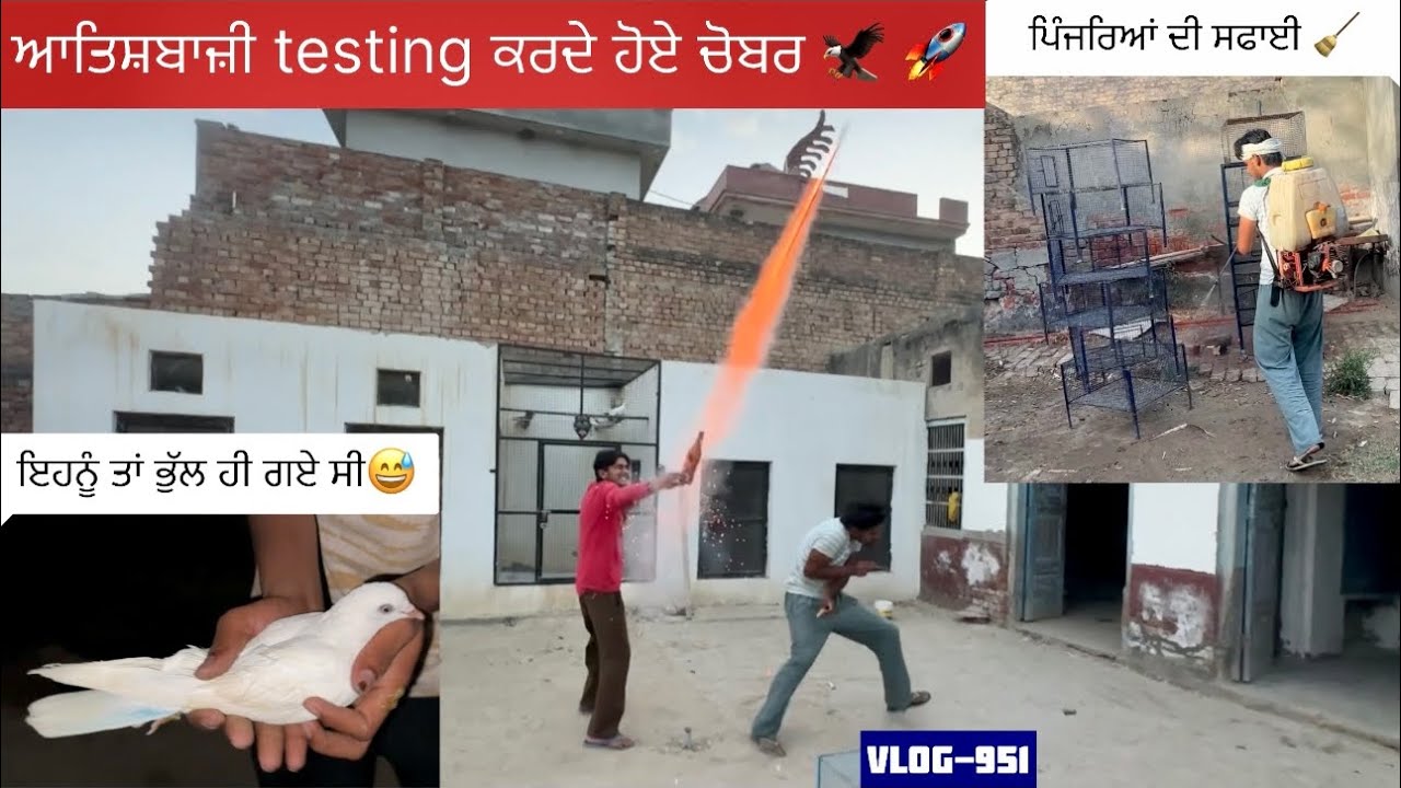ਲਓ ਜੀ, ਅੱਜ ਹਰੇ ਪੂਜੇ ਆਲਾ ਬੱਚਾ ਵੀ ਘਰੇ ਆ ਗਿਆ ਆਪੇ😅, 10-15 ਦਿਨਾਂ  ਬਾਅਦ🕊️|| ਦੇਖੋ ਸਾਰੀ video 