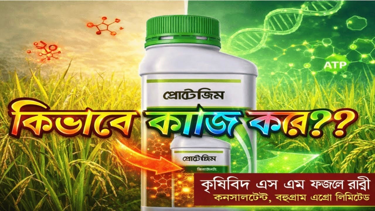 ✅ প্রোটেজিম কীভাবে কাজ করে? 