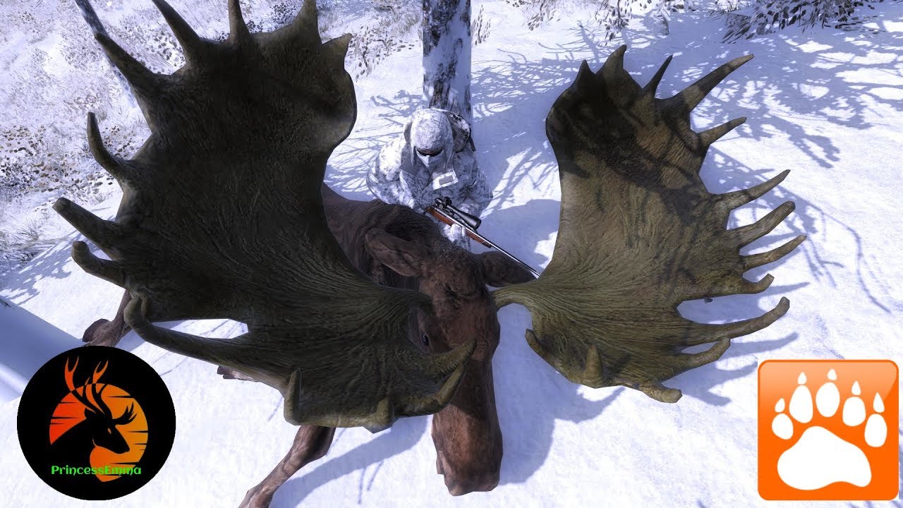 Thehunter Classic 200