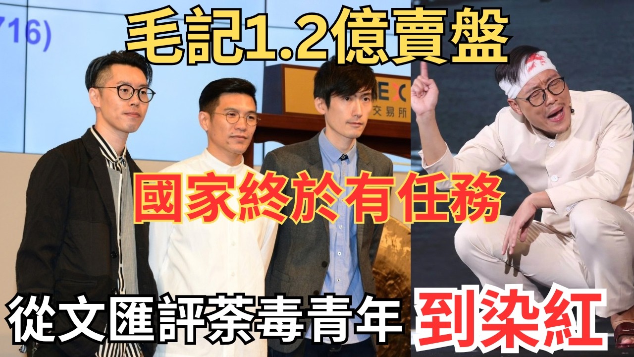 踢爆毛記葵涌真實背景、賣盤過億之謎，三子林日曦、阿Bu、陳強發財路