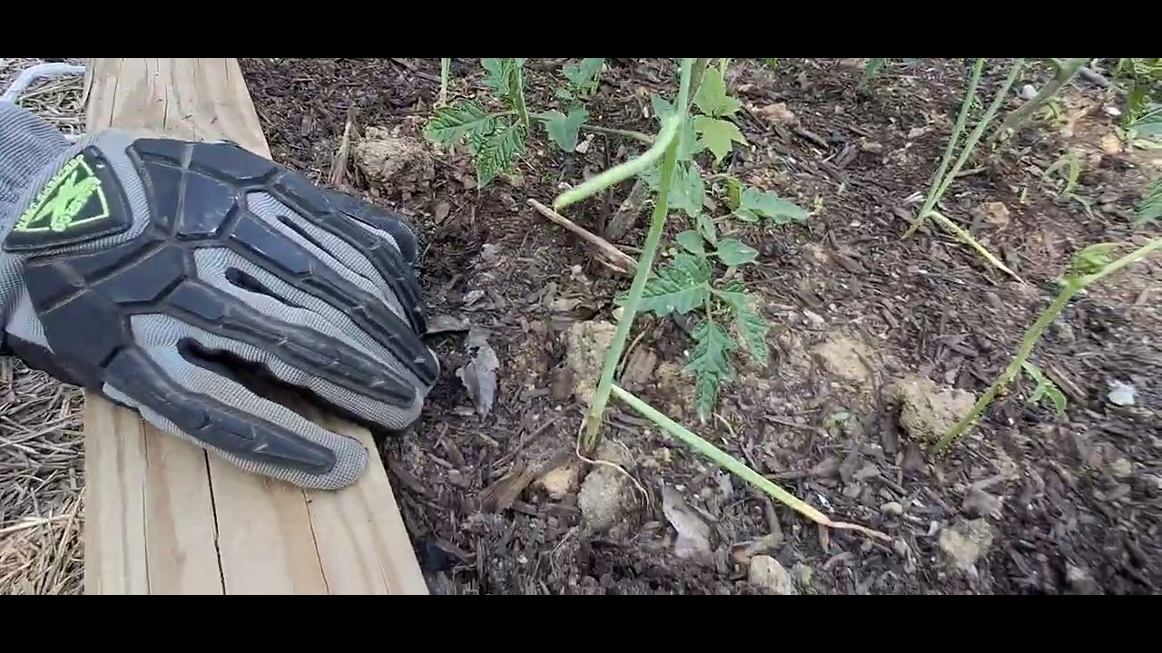 Ideas for building your garden beds