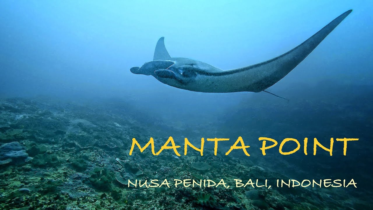 Scuba Diving Nusa Penida, Bali, Indonesia (Manta Point)
