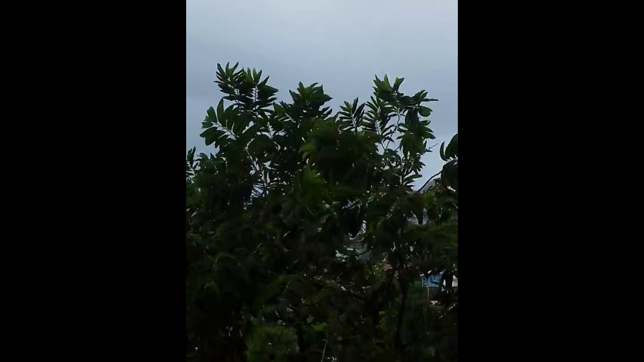 Hurricane Maria 🌀 — Saint Lucia, Caribbean 🇱🇨 | Monday, September 18, 2017 📆@nicolafrancoworld