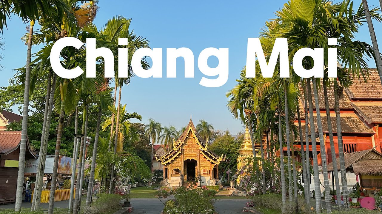 Chiang Mai vlog┃7박 8일 치앙마이 연말여행 🇹🇭 ┃먹고 놀고 마사지 받고 자기만 해도 바쁜 이 곳...!