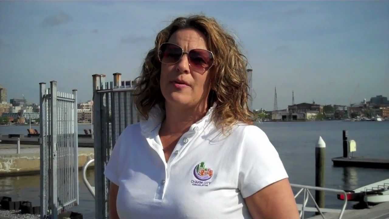 Water Taxi Harbor Connector - General Information