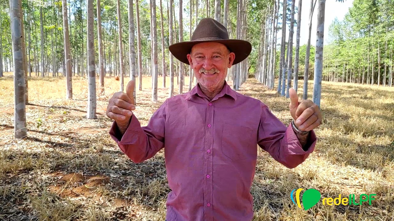Rede ILPF Visita - Fazenda Santa Bárbara e Fazenda Macaúba, Goiás