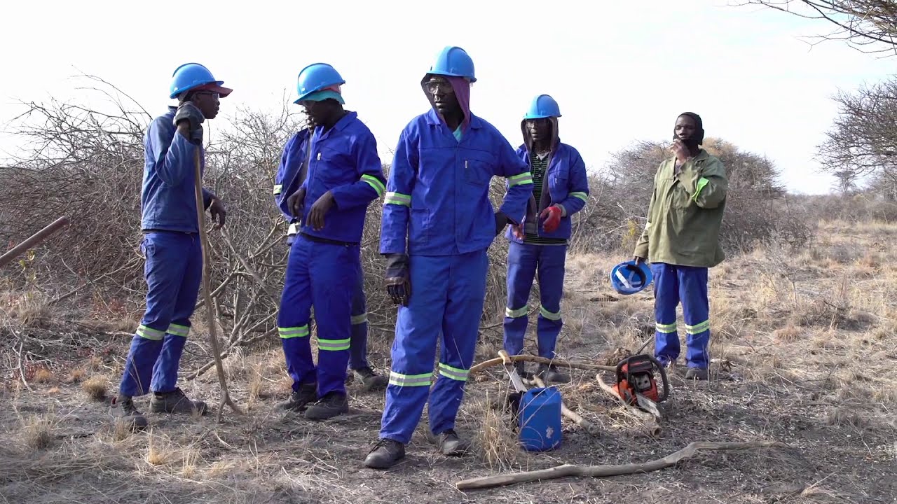 Labour-based Bush Harvesting for Rangeland Restoration