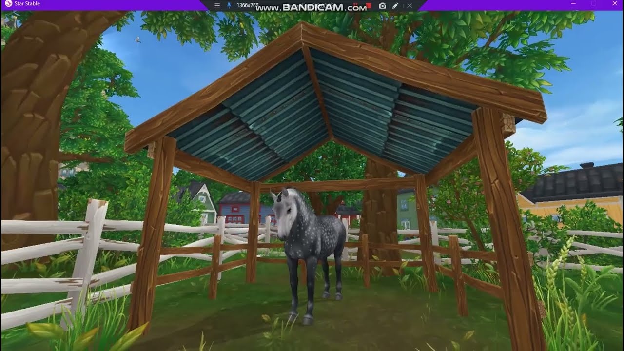 ♡❤♡❤♡ ~ Lipizzaner's & American paints! ~ ♡❤♡❤♡