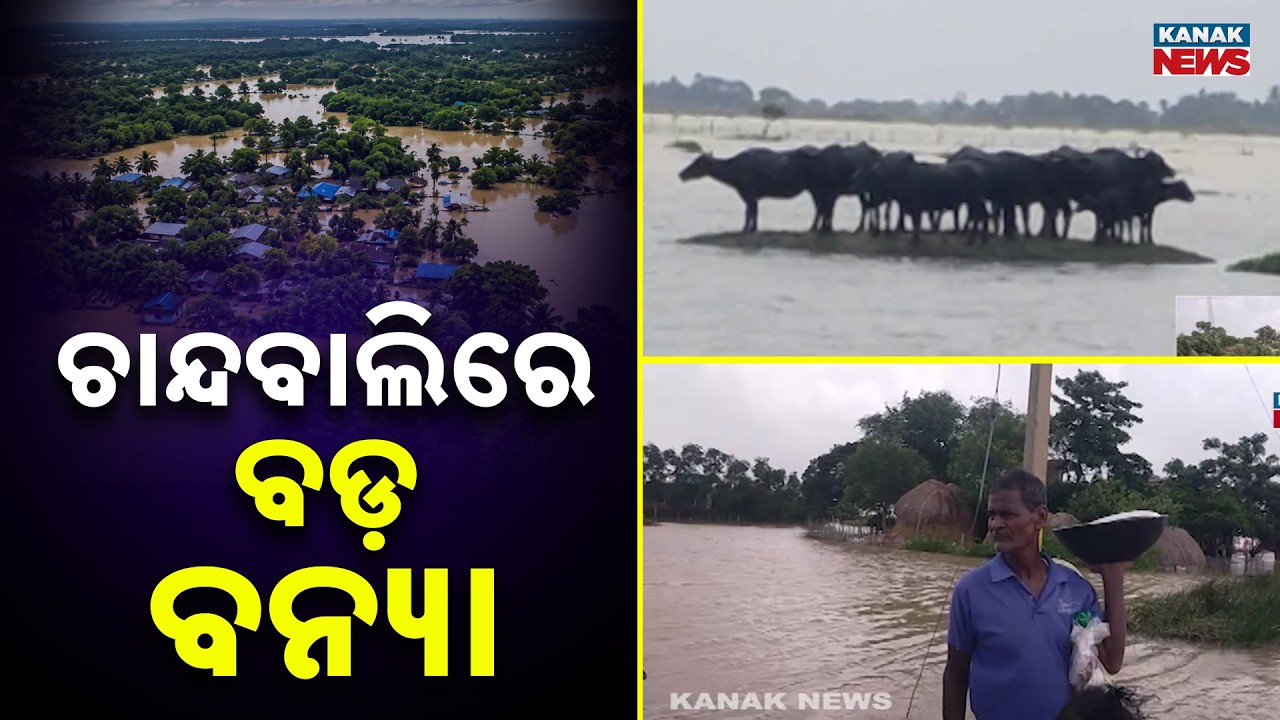 Chandbali Flood News | Knee-Deep Water Triggers Fear Among Residents