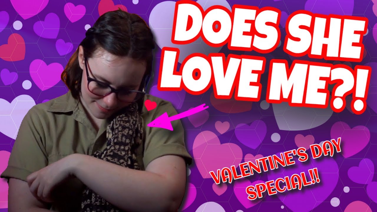 Does Your Reptile Love You? Valentine's Day Special!