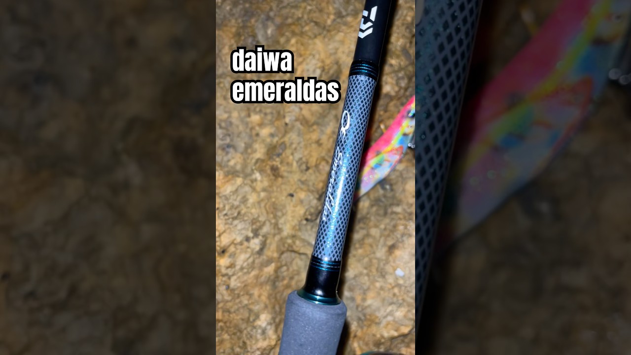 daiwa emeraldas 🦑 
